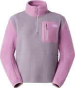The North Face Women's Yumiori 1/4 Zip Transcendent Grey/Hushed Lavend...