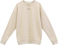 Newline HALO Halo Duty Crew Mand Oyster Gray Sweatshirts Str L - hos M...