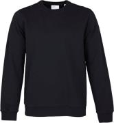 Colorful Standard Classic Organic Crew Mand Deep Black Sweatshirts Str...