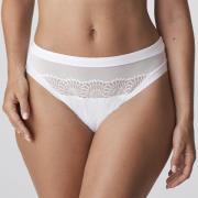 PrimaDonna Sophora Riotrusser Briefs Str 40 - hos Magasin