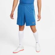 Nike Dri Fit ike Traeningsshorts L - Træningsshorts hos Magasin