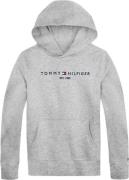 Tommy Hilfiger Essential Hoodie Str 5 år / 110 cm - P01 Hættetrøjer Bo...