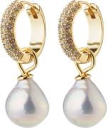 Pilgrim Edele Pearl Earrings Goldplated One size - Creoler hos Magasin