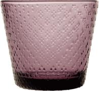 Iittala Tundra Drikkeglas 29cl Calluna 2 stk Lilla - Vandglas hos Maga...