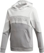 adidas BX 2. 0 Hoodie Str 128 - Grey Hættetrøjer Polyester hos Magasin