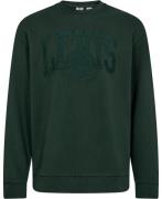 Levi's Relaxd Graphic Crew Applique 3 Mand Grøn Sweatshirts Relaxed Fi...