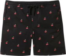 Vans Range 18 Cherri Shorts XL - Badetøj hos Magasin