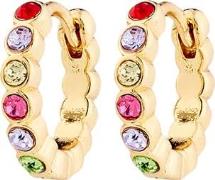 Pilgrim Kleopratra Earrings Goldplated one size - Creoler hos Magasin