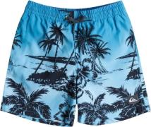 Quiksilver "Everyday Paradise 14"" Badeshorts" M/12 - Badetøj hos Maga...