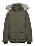 Herbert Parka Jakke Green Molo