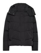 Modern Padded Jacket Foret Jakke Black Calvin Klein