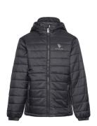 Uspa Hooded Quilted Jacket Foret Jakke Black U.S. Polo Assn.