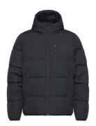 Hco. Guys Outerwear Foret Jakke Black Hollister