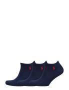 Low-Cut Sock 3-Pack Ankelstrømper Korte Strømper Blue Polo Ralph Laure...
