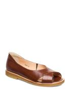 Sandals - Flat - Open Toe - Clo Flade Sandaler Brown ANGULUS