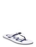 Eva-Bolt-Sn-Csl Klipklapper Sandaler White Polo Ralph Lauren