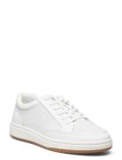 Perfspcalf/Sfspcalf-Hailey-Sk-Ltl Low-top Sneakers White Lauren Ralph ...