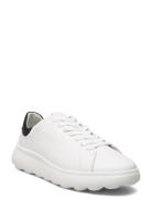 U Spherica Ec4.1 A Low-top Sneakers White GEOX
