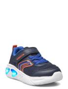 J Assister Boy C Low-top Sneakers Blue GEOX