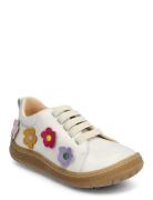 Shoes - Flat - With Lace Low-top Sneakers Cream ANGULUS