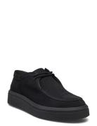 Fayles Sneaker Low-top Sneakers Black Steve Madden