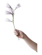 Paper Flower Home Decoration Paper Flowers Purple Studio About