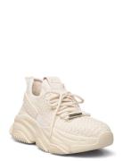 Project Sneaker Low-top Sneakers Cream Steve Madden