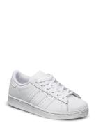 Superstar C Sport Sneakers Low-top Sneakers White Adidas Originals