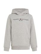 Essential Hoodie Tops Sweatshirts & Hoodies Hoodies Grey Tommy Hilfige...
