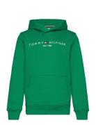 Essential Hoodie Tops Sweatshirts & Hoodies Hoodies Green Tommy Hilfig...