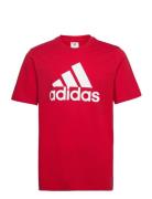 Essentials Single Jersey Big Logo T-Shirt Sport T-Kortærmet Skjorte Re...