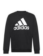 Essentials Fleece Big Logo Sweatshirt Sport Sweatshirts & Hoodies Swea...
