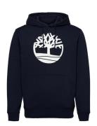 Core Logo P/O Hood Bb Tops Sweatshirts & Hoodies Hoodies Navy Timberla...