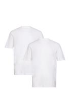 Double Pack Crew Neck Tee Tops T-Kortærmet Skjorte White Tom Tailor