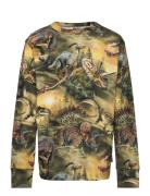 Rill Tops T-shirts Long-sleeved T-Skjorte Multi/patterned Molo