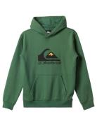 Big Logo Hoodie Youth Tops Sweatshirts & Hoodies Hoodies Green Quiksil...