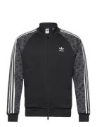 Sstr Mono Tt Sport Sweatshirts & Hoodies Sweatshirts Black Adidas Orig...