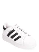 Superstar Xlg W Sport Sneakers Low-top Sneakers Adidas Originals