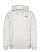 Ri Left Chest Logo H Sport Sweatshirts & Hoodies Hoodies Grey Reebok C...