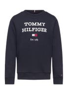 Th Logo Sweatshirt Tops Sweatshirts & Hoodies Sweatshirts Navy Tommy H...