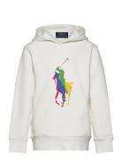 Big Pony Fleece Hoodie Tops Sweatshirts & Hoodies Hoodies White Ralph ...