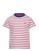 Striped Cotton Jersey Tee Tops T-Kortærmet Skjorte Red Ralph Lauren Ki...