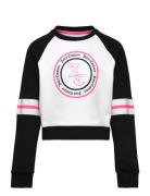 Juicy Colour Block Raglan Crew Bb Tops Sweatshirts & Hoodies Sweatshir...