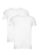 Double Pack Ss T-Shirt - White Designers T-Kortærmet Skjorte White Edw...