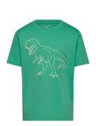 Special Artwork T-Shirt Tops T-Kortærmet Skjorte Green Tom Tailor