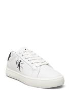 Classic Cupsole Laceup Low-top Sneakers White Calvin Klein