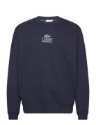 Sweatshirts Tops Sweatshirts & Hoodies Sweatshirts Navy Lacoste