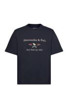 Anf Mens Graphics Tops T-Kortærmet Skjorte Blue Abercrombie & Fitch