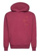 Nb Buenas Hoodie Burgundy Tops Sweatshirts & Hoodies Hoodies Burgundy ...