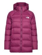 W Hyalite Dwn Parka Sport Jackets Padded Jacket Purple The North Face